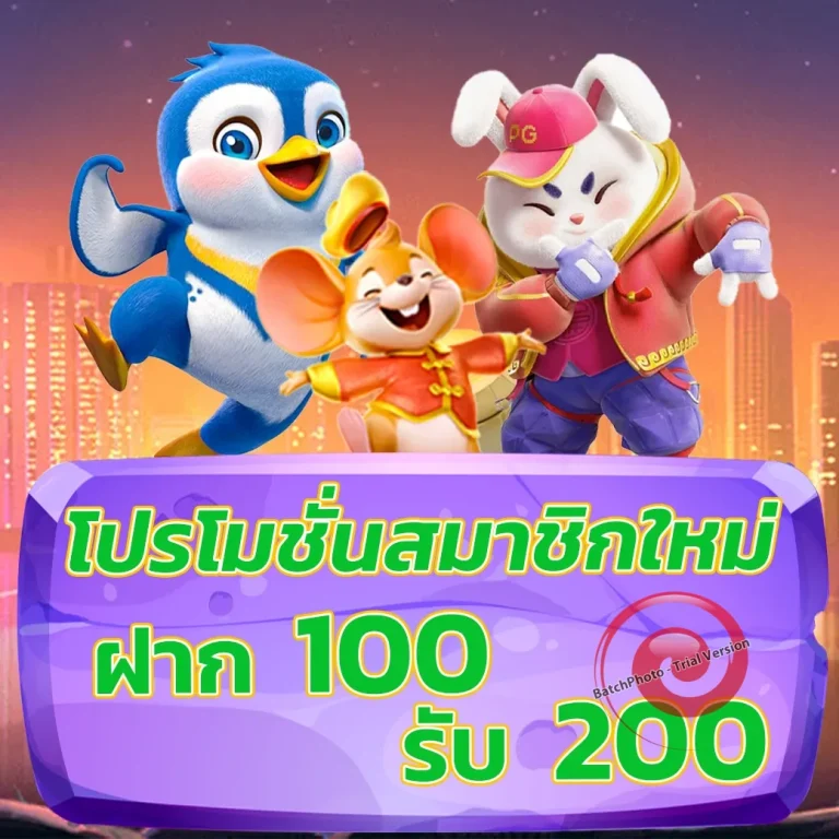 pm369club ทางเข้า